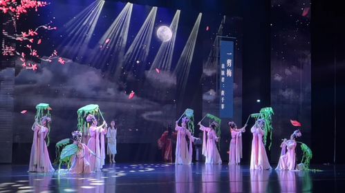話劇我來(lái)演，宋韻你來(lái)品 溫州市精品劇目展演精彩上演